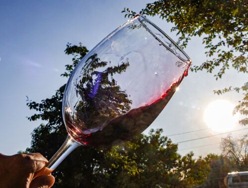 Weingut Obene in Samegrelo