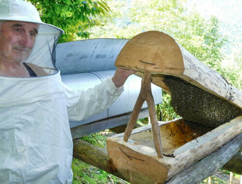 Jara Bienenstock in Georgien