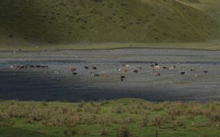 Tuschetien Trekking