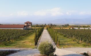 Weingut Mosmieri