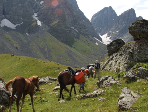 Chewsuretien Trekking