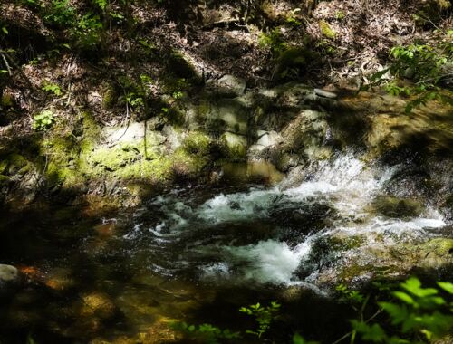 Algeti Nationalpark Georgien
