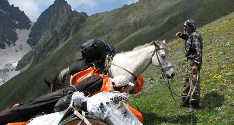 Packpferde in Chewsuretien
