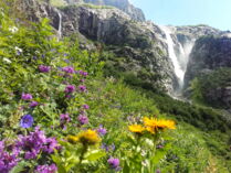 Wanderreisen Georgien - Natur, Kultur & Kaukasus erleben (Titelbild)