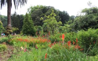Botanischer Garten in Batumi